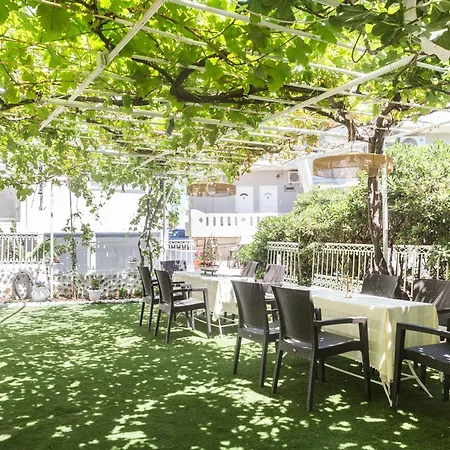 Tatil Evi Dts
